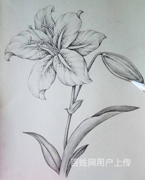 学素描需要美术功底吗?