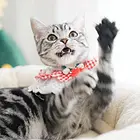 哪里有虎斑猫卖 虎斑猫多少钱 虎斑猫性格粘人吗