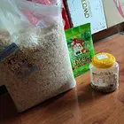 仓鼠