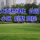 长春哪里卖高羊茅供应商