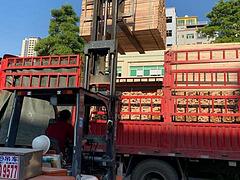 出售6.8米高栏国五德龙