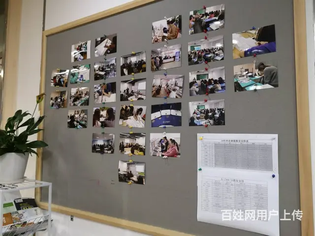 诸暨学历提升培训：学历文凭与职业资格证书不同的图片
