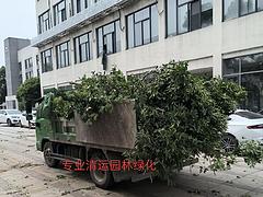 园林绿化清运