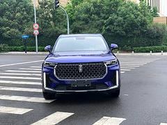 奔腾T99 2019款 2.0TD 手自一体 20TD 旗舰