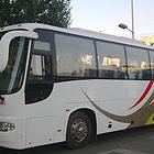 兰考宠物托运（猫狗）活体邮寄快递（2022宠物运输 ）今日推