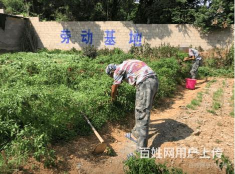 绵阳优秀的管教学校机构服务方案的图片