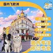 宠物托运 毕节织金本地服务猫狗活体运输 代办检疫证 上门接送