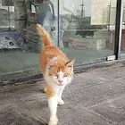 低价处理