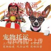 包头宠物托运（猫狗长途搬家运输）邮寄快递全国连锁