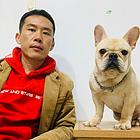 黄骅狗狗上学，黄骅专业训犬，可专车接送