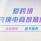 零基础入门，跨境电商亚马逊/虾皮一站式实操培训！