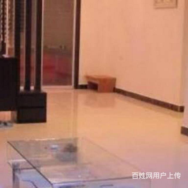 精装2室两厅一卫出租的图片