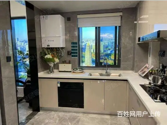 D铁口天宁红梅主芯保利天珺洋墅双公园火车站精装均26000起 - 图片 6