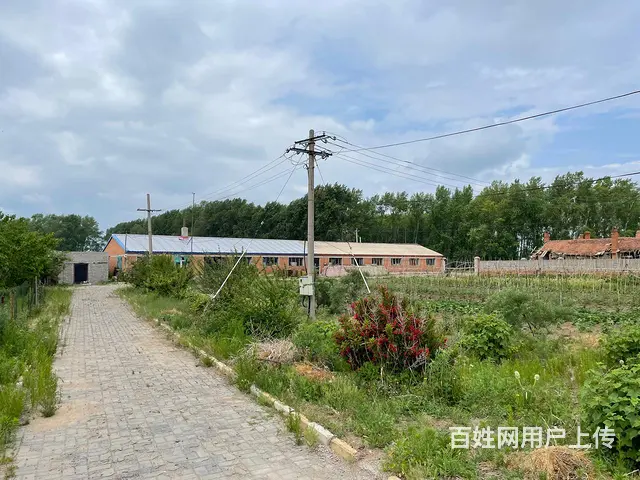 厂房养殖场出卖 - 图片 6