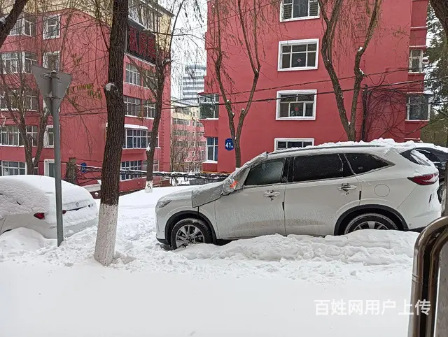 北山路向阳派出所身后一楼可以商住两用，我这是一楼， - 图片 8