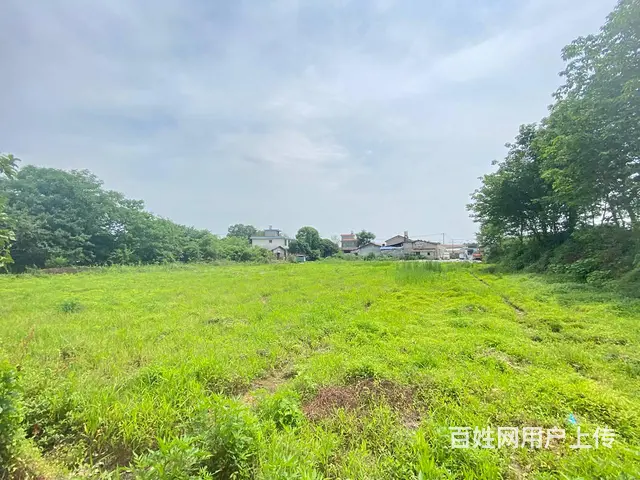 开福大道10亩坪，可做农家乐，花园，露营，种植养殖基地 - 图片 9