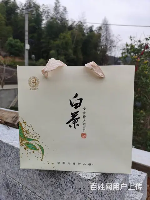 春节送礼选好茶 黄金叶茶 安吉白茶 小戴白茶直销 - 图片 6