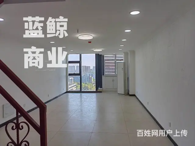 新城绿地蓝海100平复式 - 图片 1