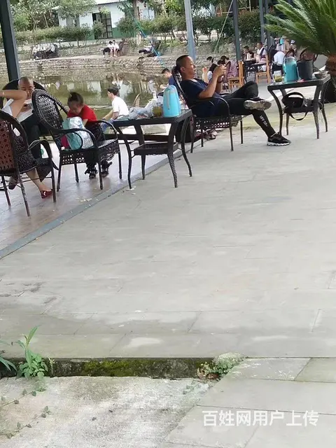 旺铺居）房东直租农家乐招餐饮项目环境优美绿树成荫鱼塘环绕 - 图片 3