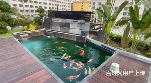 广州锦鲤鱼池维修，鱼池水泵维修，鱼池漏水漏电维修 - 图片 3