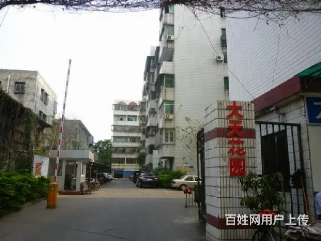 国兴商圈      大天花园3房楼梯房 - 图片 10