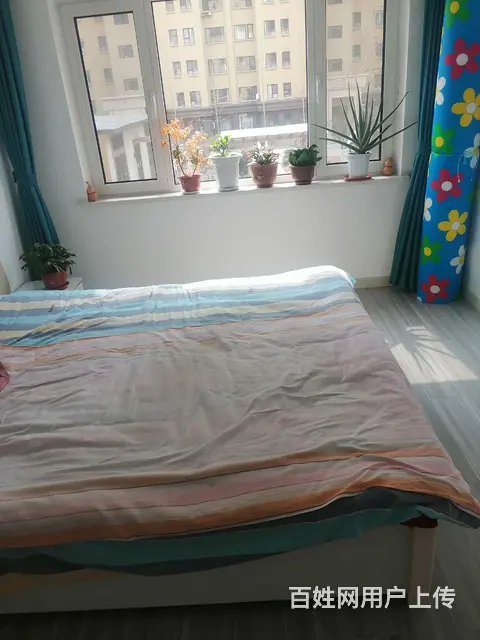 宗裕城房屋出售 - 图片 3