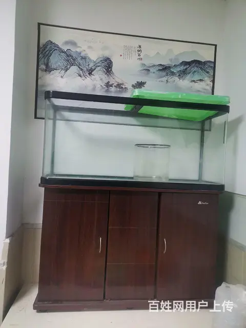 闲置鱼缸 - 图片 1