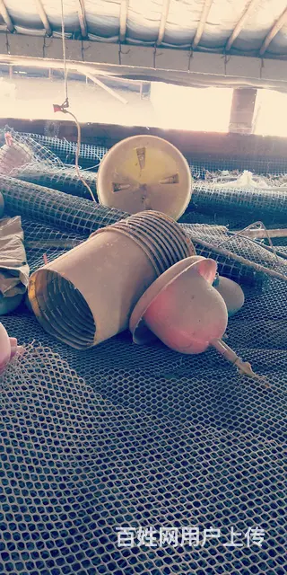 鸭鹅料桶 - 图片 3