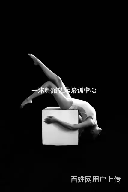 淮南哪有成人零基础爵士街舞钢管舞高空培训 - 图片 2