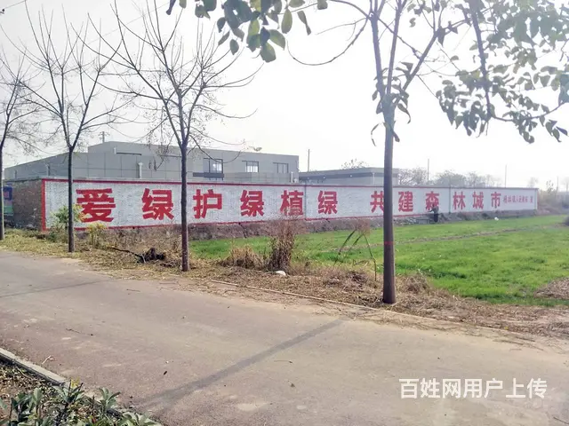 承德广告墙体喷绘相约承德美丽乡村墙体标语 - 图片