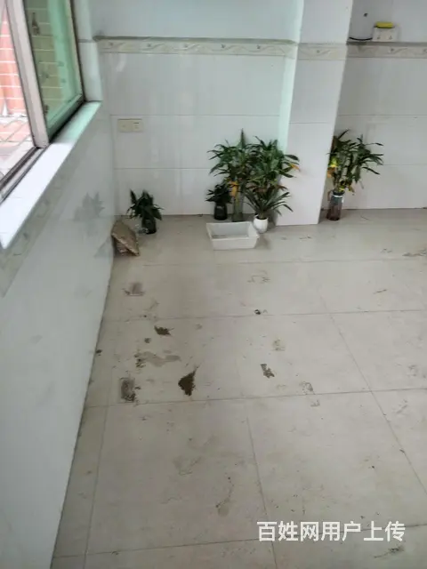 流沙北街道西陇小学旁 - 图片 5