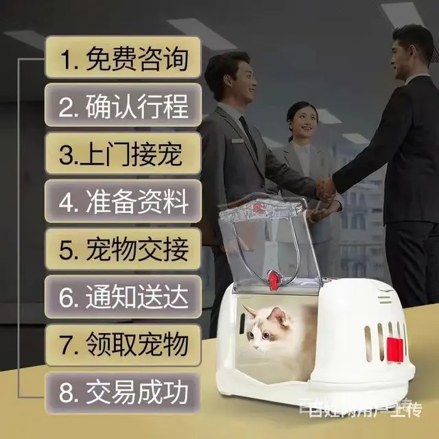 仙桃托运宠物 （猫狗活体运输）快递至全国各地 - 图片 2