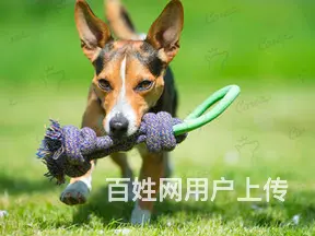 昆明租赁发电机出租柴油发电机百台机组 - 图片 3