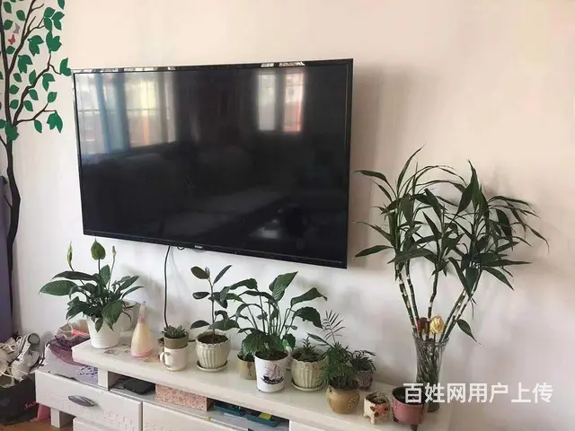 康馨园北区2楼3室两厅31万紧邻人民医院 - 图片 4
