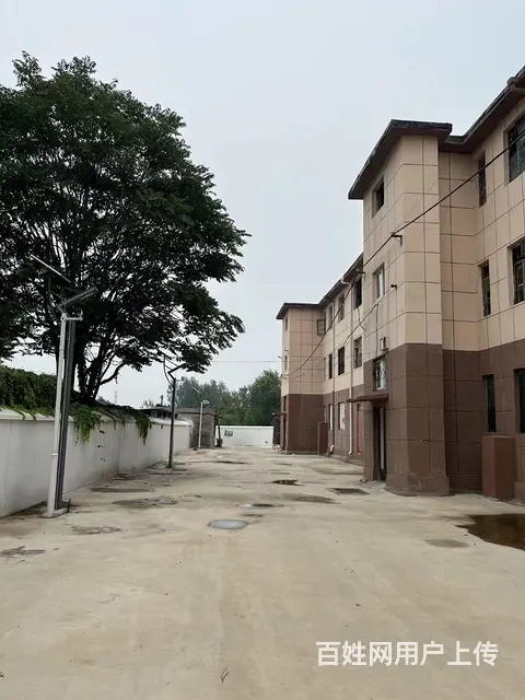 速抢，鹤山一楼，三室一厅，户型好 - 图片 7