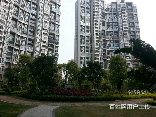 新出 特房尊府  大2房 101平  6千+ - 图片 12