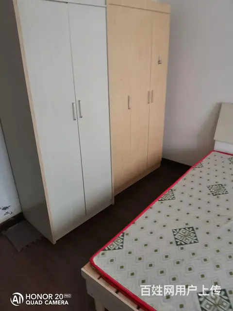 房屋出租 - 图片 8