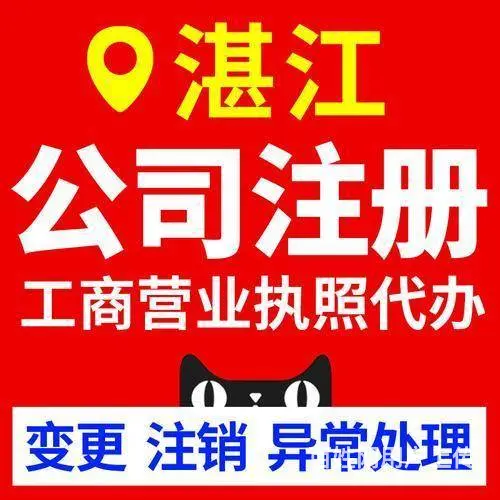 湛江公司吊销怎么处理 - 图片