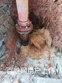 晋宁县家庭暗管漏水检测 室外公共供水管网漏水检测 - 图片 1