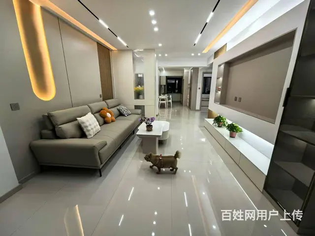 河东一高中附近山水鑫苑2楼双筋杨木芯环保板材精装未住中央公园 - 图片 1