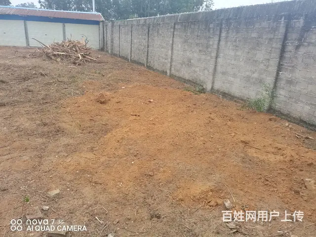 出租商业房地 - 图片 2