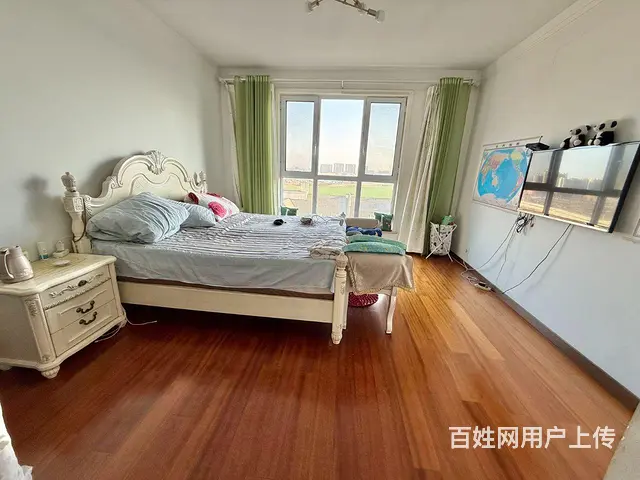 龙源湖公园 观景房 建业森林半岛 16楼 一梯一户 - 图片 8