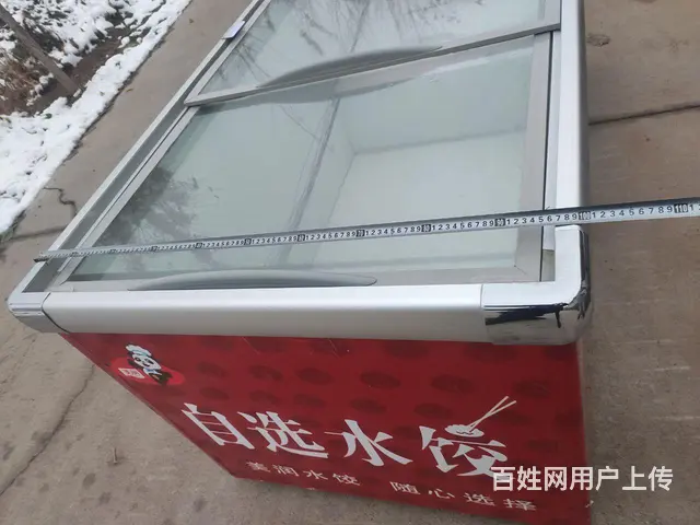 【搞定了！】冷柜冰柜冰箱 - 图片 12