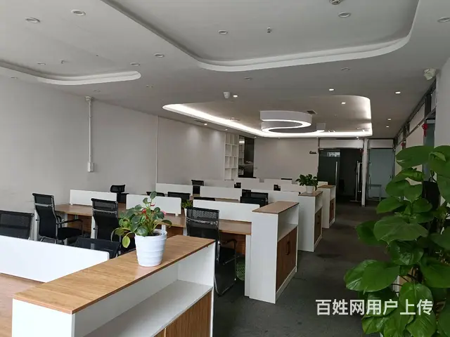 【搞定了！】出租布鲁明顿广场310平方米甲级写字楼 - 图片 7