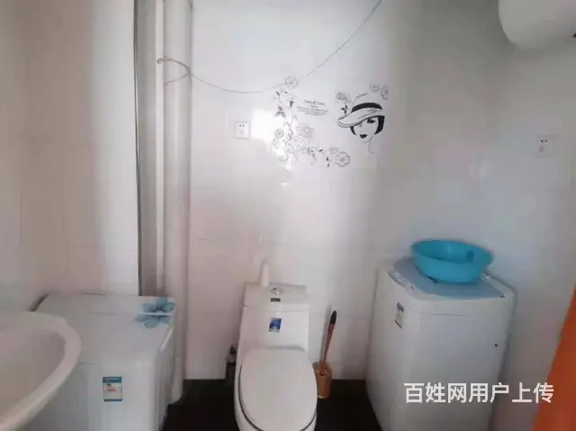 丽都新城(铁西)(铁西) 普通住宅1厅 精装修 - 图片 8