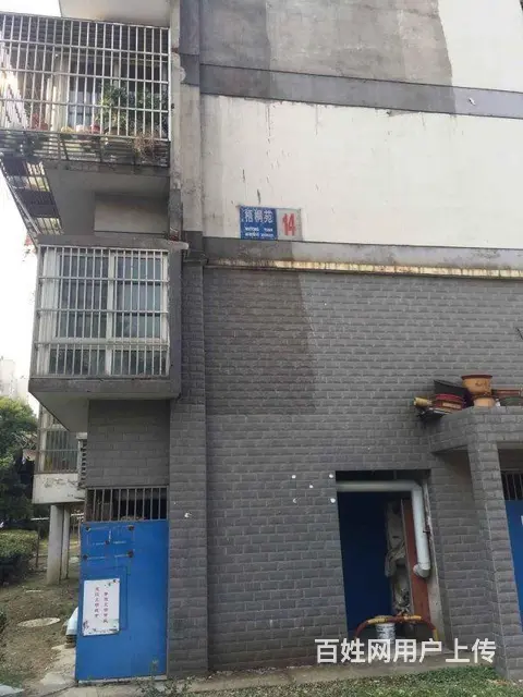 青枫公园宝龙广场 梧桐苑 精装修2房价格包物业拎包 - 图片 5