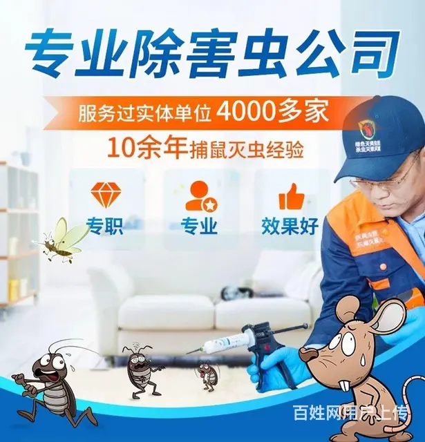 除虫除百虫：灭蟑螂、四害防治、防鼠灭鼠、灭臭虫 - 图片 8