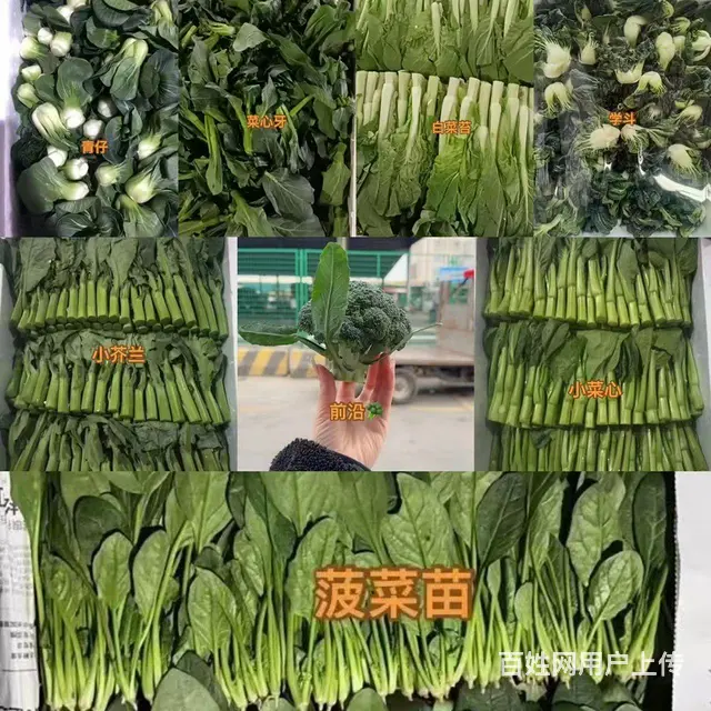 工厂食材配送、蔬菜配送、食堂承包 - 图片 3
