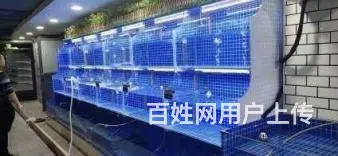 扬州【庆亚】海鲜大闸蟹玻璃鱼缸测量定做安装报价 - 图片 3