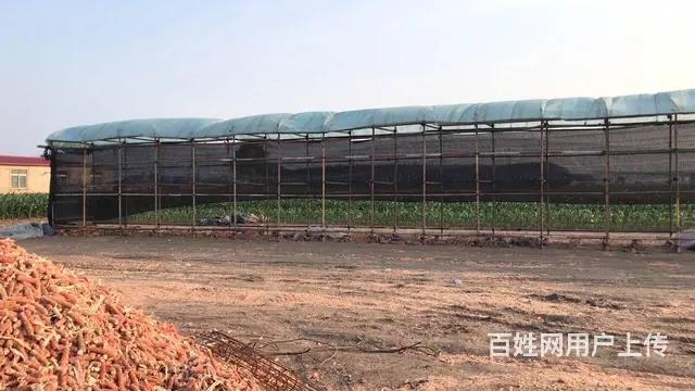 出售拖拉机（另售玉米篓子） - 图片 2